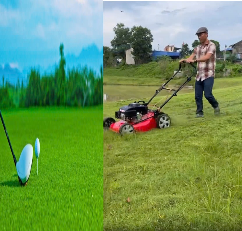 Máy cắt cỏ sân golf tự hành lưỡi kép Yamaha SC510