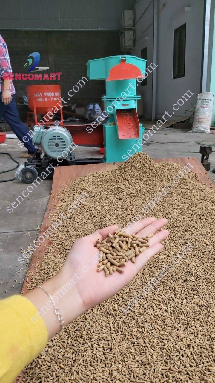 Máy ép cám viên 250-7500W Phễu Ngang