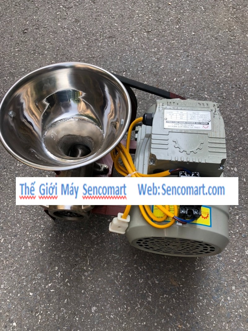 Máy xay thịt, xay cua, xay cổ gà cối gang 12 hàng Việt Nam