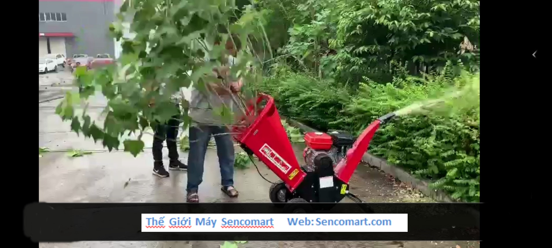 Máy băm cây chạy xăng 4 thì SENCO-BC7HP