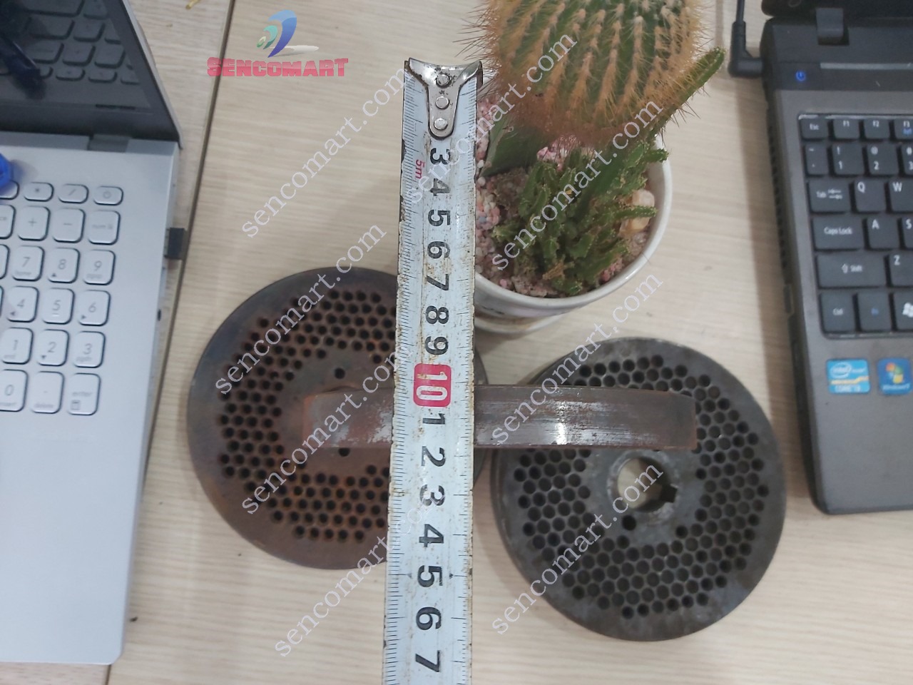 Sàng máy ép cám viên, Vỉ ép cám viên 3ly, 4ly, 5ly, 6ly