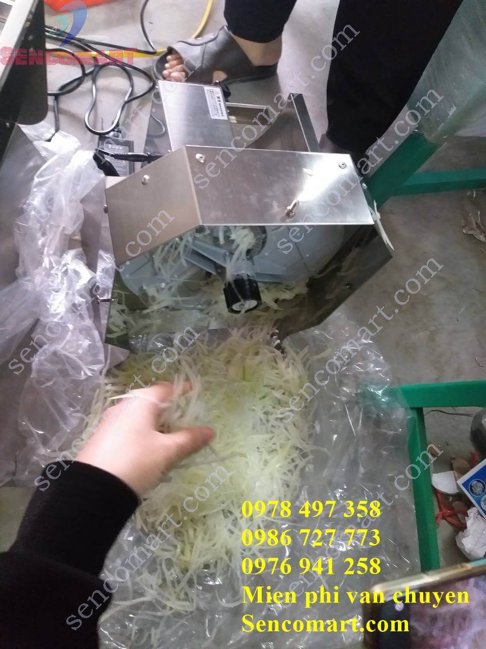 Máy thái sợi đu đủ