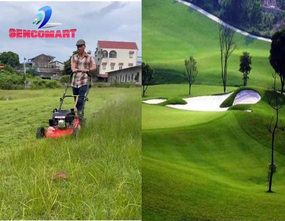 Máy cắt cỏ đẩy tay tự hành Booyoung BY510, máy cắt cỏ sân golf, cắt cỏ sân bóng chạy xăng