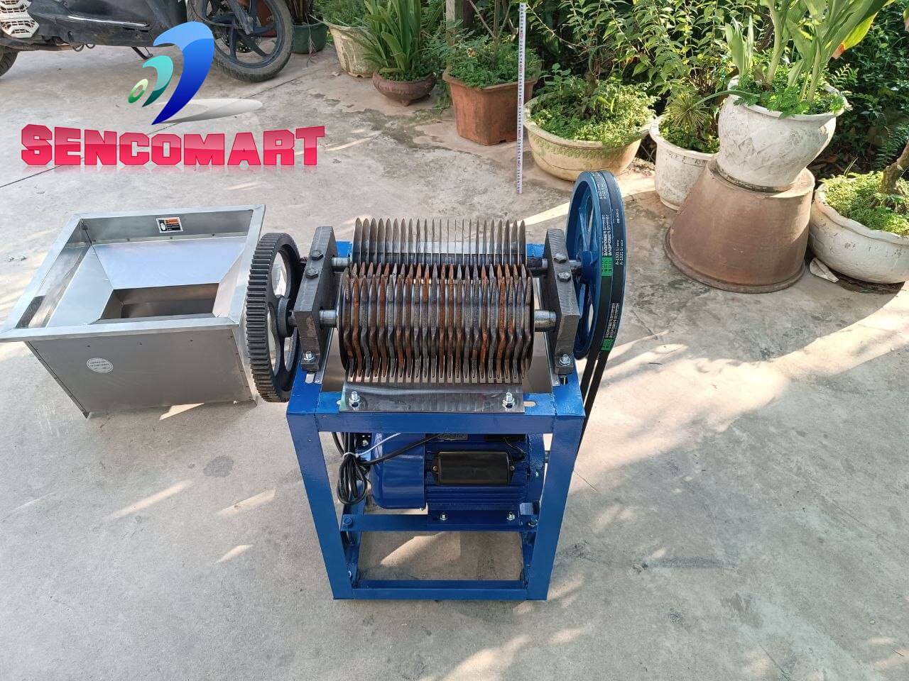 Máy Cắt Khúc Cá Tự Động – Cắt Đều, Đẹp, Không Nát Vụn