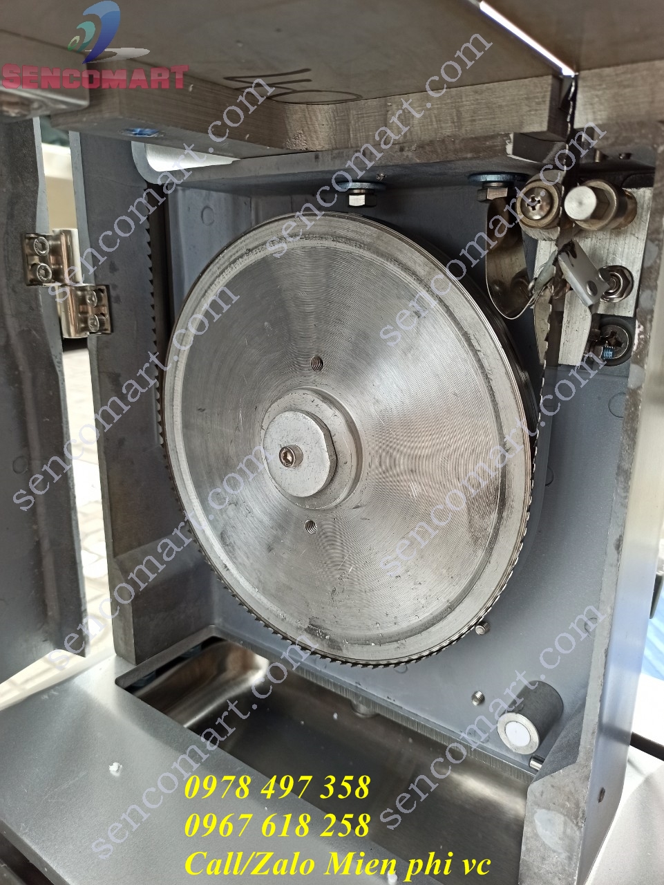 Máy cưa xương YDLS 210, máy thái khúc cá đông lạnh