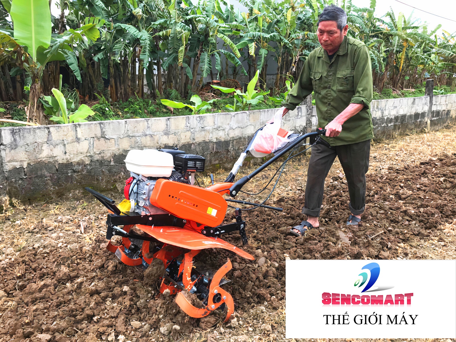 Máy xới đất Honda Thái Lan GX200 6,5HP