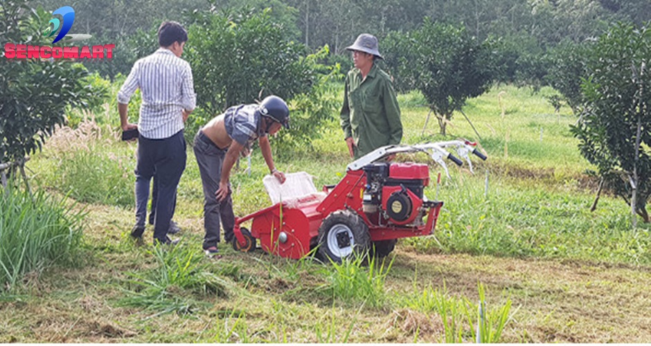 Máy Cắt Phát Cỏ Trục Băm 7HP SCTB700