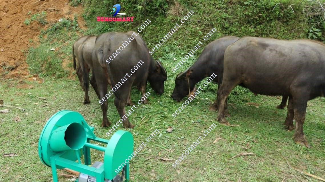 Máy băm cỏ voi cho trâu bò, băm chuối phun xa cho cá công suất 1,5kw