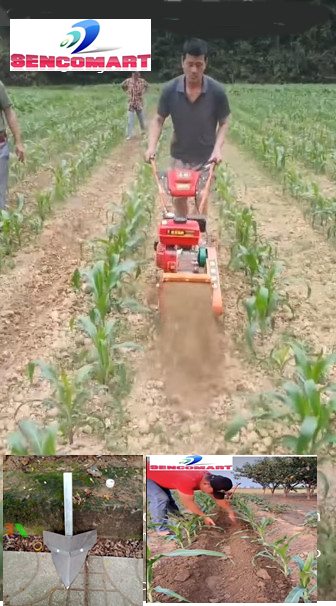 Máy Vun Luống Ngô VLN 6HP - SCM Hàng Nhập Cao Cấp