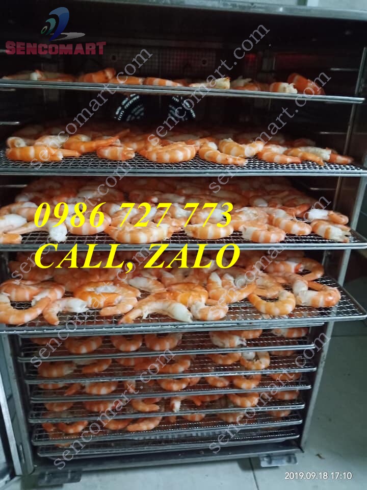 TỦ SẤY THỰC PHẨM CÔNG NGHIỆP