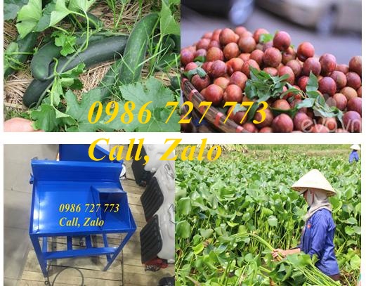 MÁY BĂM CỎ VOI- MÁY BĂM RAU, BÈO SENCO46