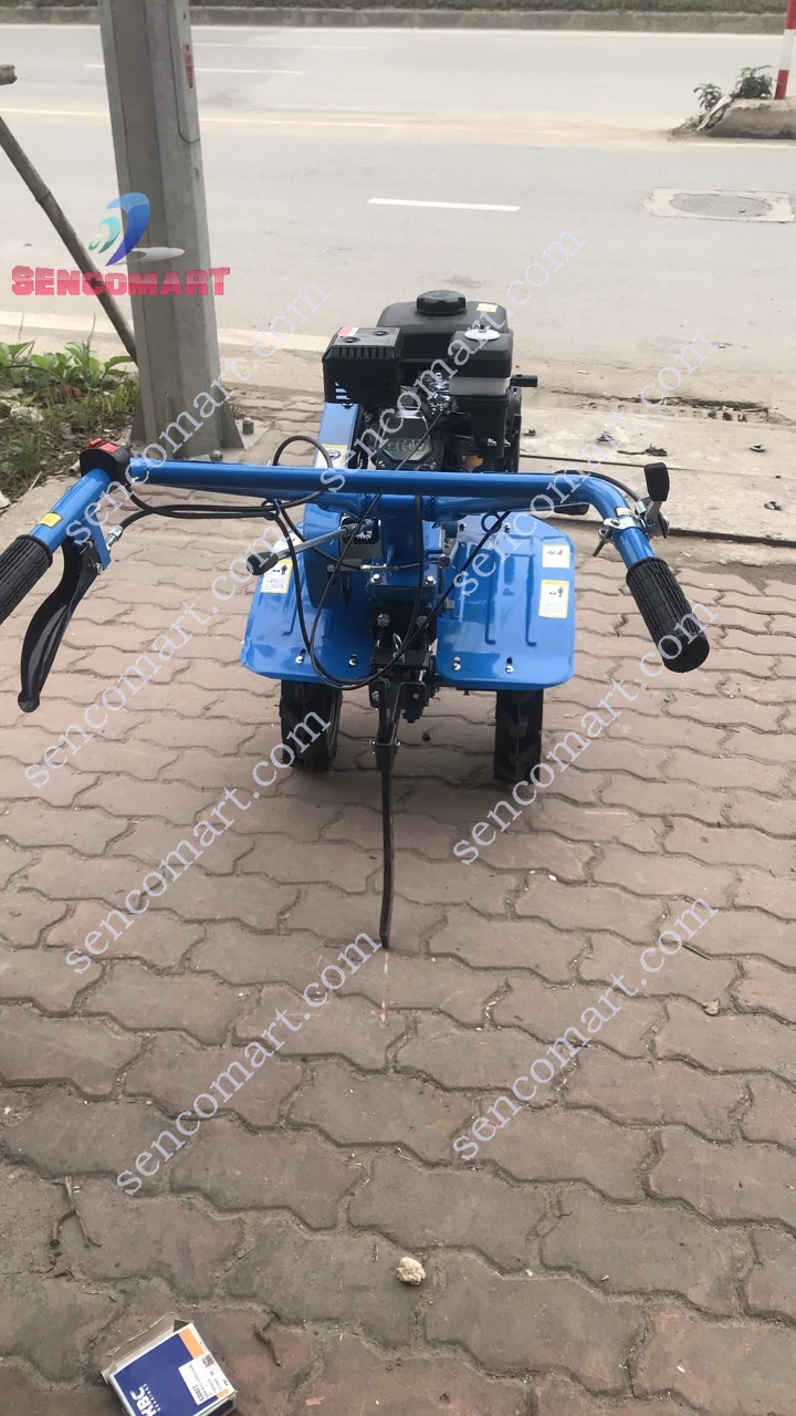 Máy Xới Đất Chạy Xăng Tiger 170