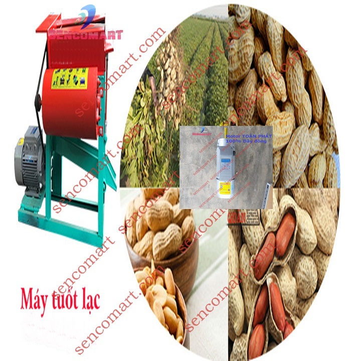 Máy tuốt lạc tươi công suất 1,5kw