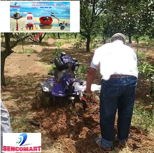 Máy Xới Đất Kama 173F Chạy Dầu Có Chuyển Hướng