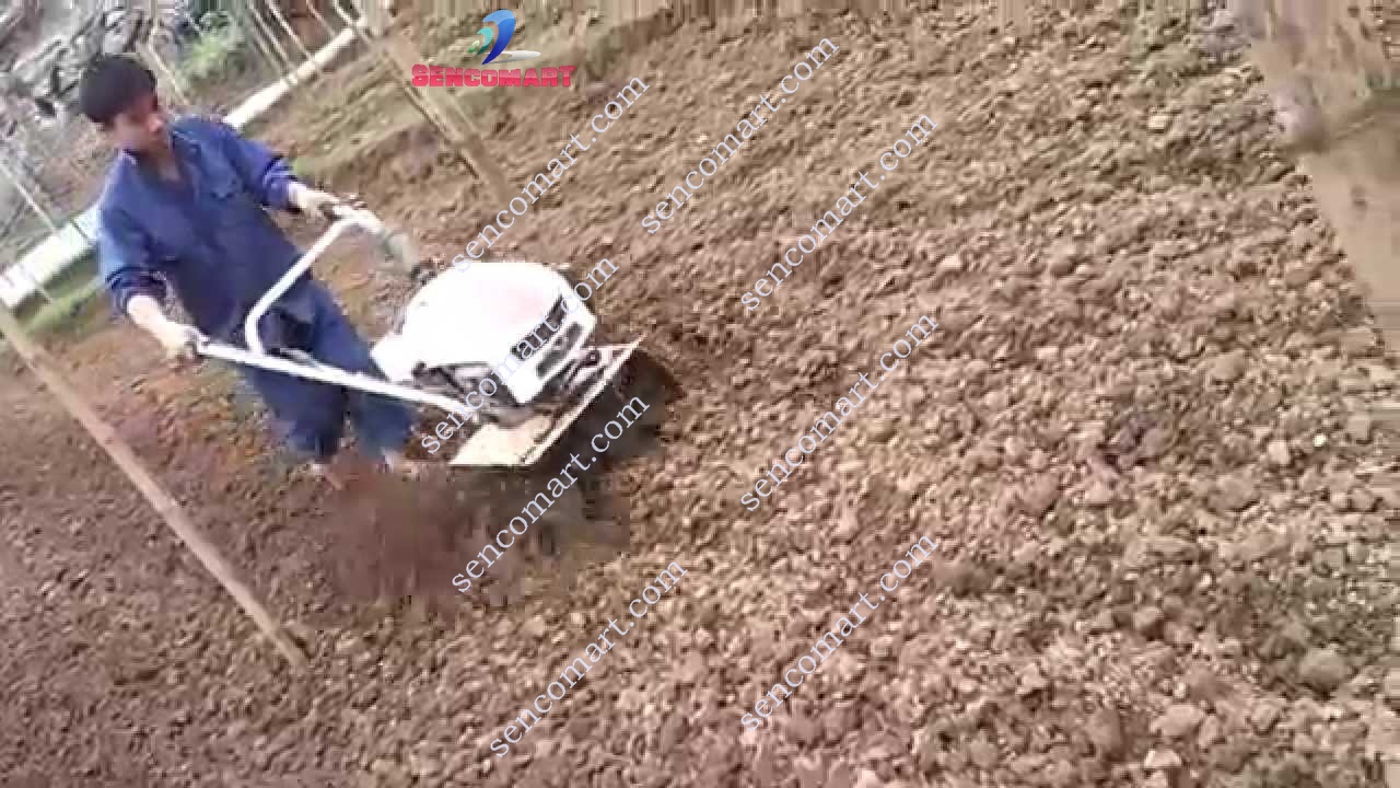 Máy Xới Đất Con Trâu Vàng 1WG4