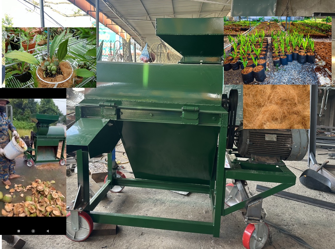 Máy nghiền xơ dừa làm phân bón năng suất 700kg/h hàng Việt Nam